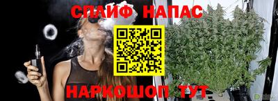 ГАЛЛЮЦИНОГЕННЫЕ ГРИБЫ Бийск