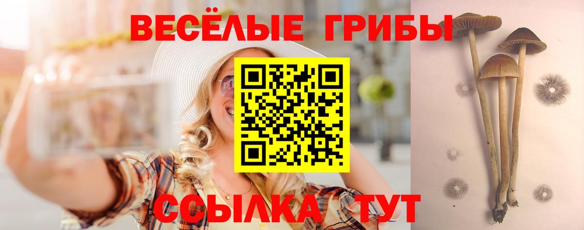 Галлюциногенные грибы прущие грибы Заволжье